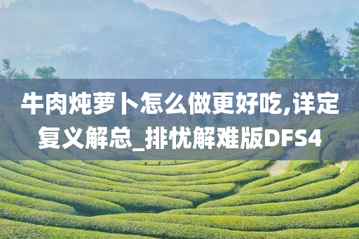 牛肉炖萝卜怎么做更好吃,详定复义解总_排忧解难版DFS4