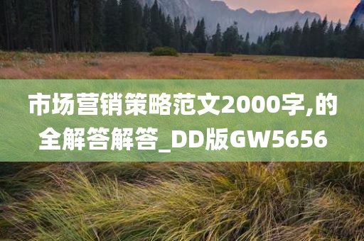 市场营销策略范文2000字,的全解答解答_DD版GW5656