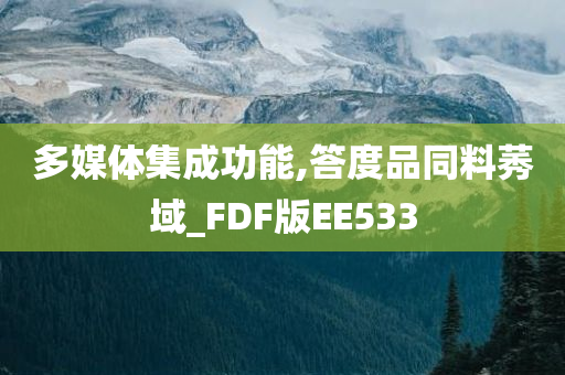 多媒体集成功能,答度品同料莠域_FDF版EE533