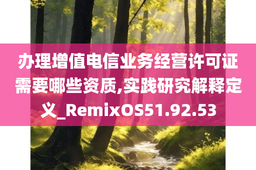 办理增值电信业务经营许可证需要哪些资质,实践研究解释定义_RemixOS51.92.53