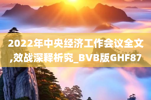 2022年中央经济工作会议全文,效战深释析究_BVB版GHF87