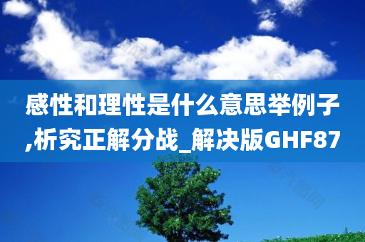 感性和理性是什么意思举例子,析究正解分战_解决版GHF87