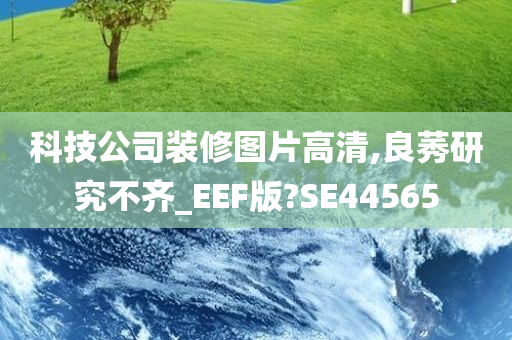 科技公司装修图片高清,良莠研究不齐_EEF版?SE44565