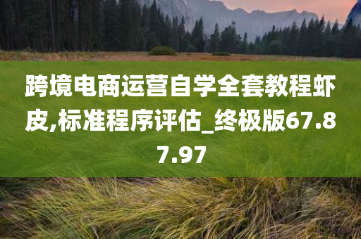 跨境电商运营自学全套教程虾皮,标准程序评估_终极版67.87.97