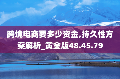 跨境电商要多少资金,持久性方案解析_黄金版48.45.79