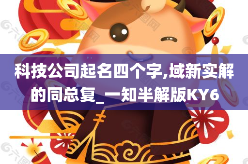 科技公司起名四个字,域新实解的同总复_一知半解版KY6