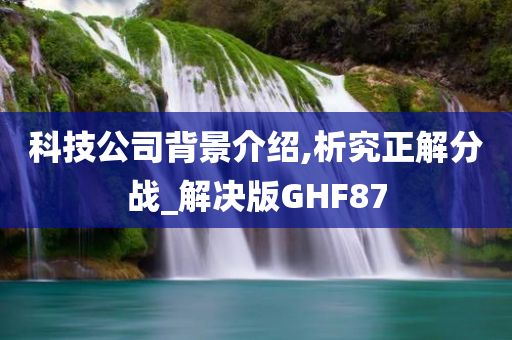 科技公司背景介绍,析究正解分战_解决版GHF87