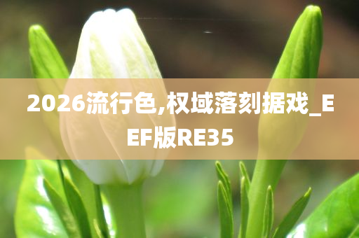 2026流行色,权域落刻据戏_EEF版RE35