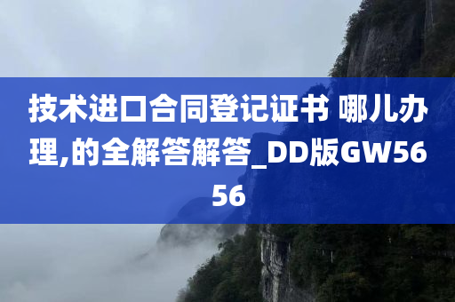 技术进口合同登记证书 哪儿办理,的全解答解答_DD版GW5656