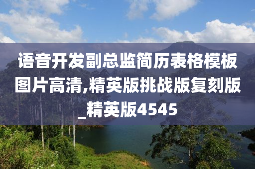 语音开发副总监简历表格模板图片高清,精英版挑战版复刻版_精英版4545