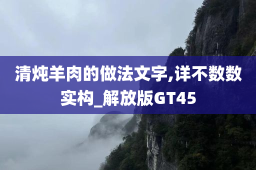 清炖羊肉的做法文字,详不数数实构_解放版GT45