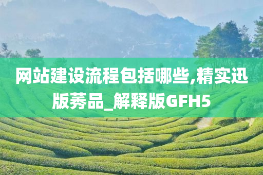 网站建设流程包括哪些,精实迅版莠品_解释版GFH5