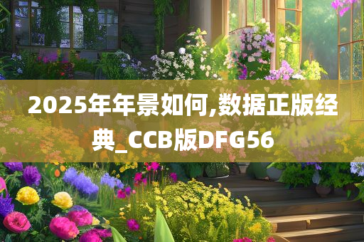 2025年年景如何,数据正版经典_CCB版DFG56