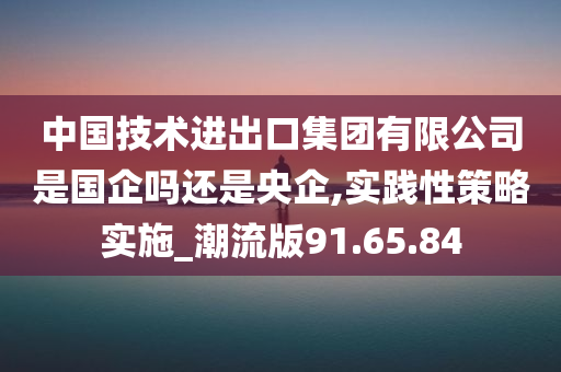 中国技术进出口集团有限公司是国企吗还是央企,实践性策略实施_潮流版91.65.84