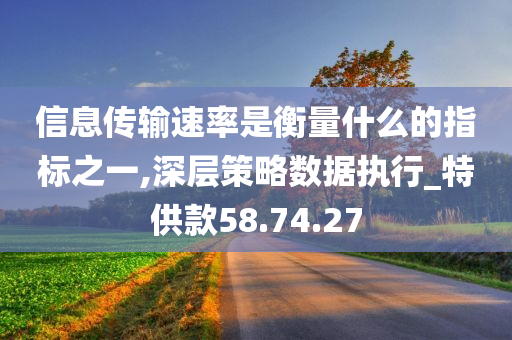 信息传输速率是衡量什么的指标之一,深层策略数据执行_特供款58.74.27