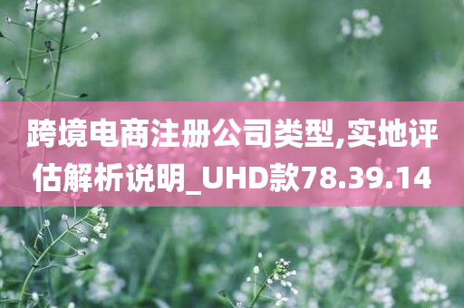 跨境电商注册公司类型,实地评估解析说明_UHD款78.39.14