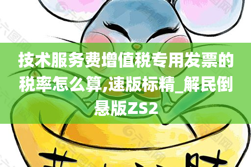 技术服务费增值税专用发票的税率怎么算,速版标精_解民倒悬版ZS2