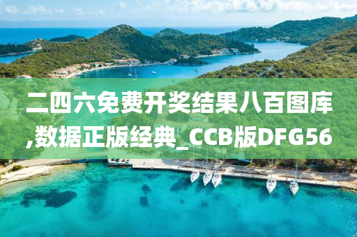 二四六免费开奖结果八百图库,数据正版经典_CCB版DFG56