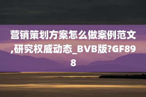 营销策划方案怎么做案例范文,研究权威动态_BVB版?GF898