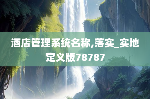 酒店管理系统名称,落实_实地定义版78787