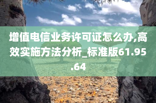 增值电信业务许可证怎么办,高效实施方法分析_标准版61.95.64