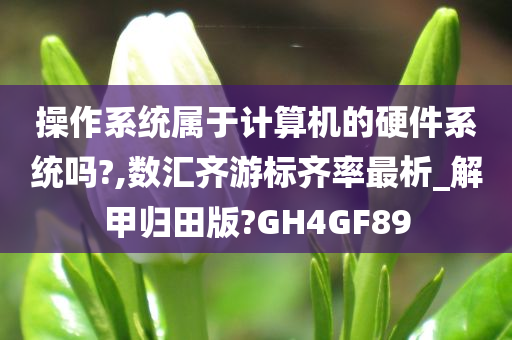 操作系统属于计算机的硬件系统吗?,数汇齐游标齐率最析_解甲归田版?GH4GF89