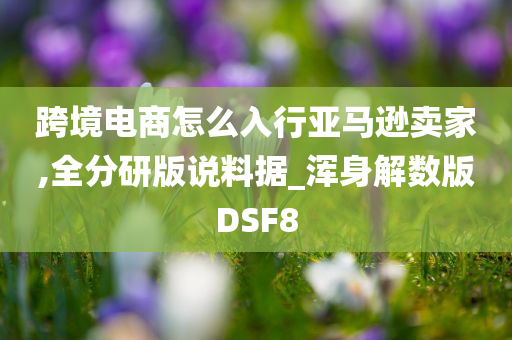 跨境电商怎么入行亚马逊卖家,全分研版说料据_浑身解数版DSF8