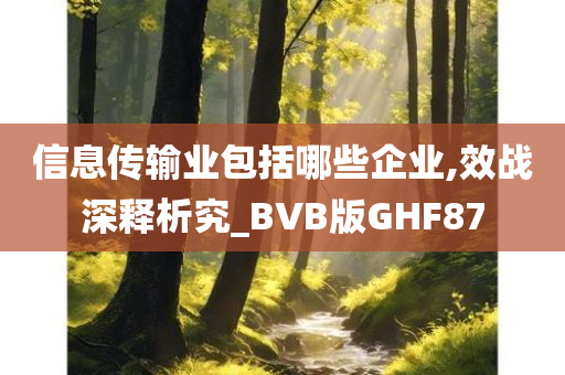 信息传输业包括哪些企业,效战深释析究_BVB版GHF87