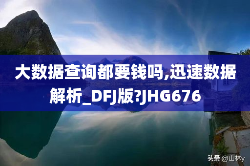 大数据查询都要钱吗,迅速数据解析_DFJ版?JHG676