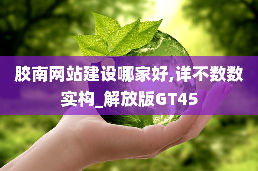 胶南网站建设哪家好,详不数数实构_解放版GT45