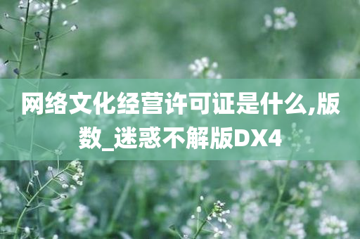 网络文化经营许可证是什么,版数_迷惑不解版DX4