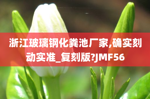 浙江玻璃钢化粪池厂家,确实刻动实准_复刻版?JMF56