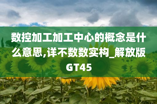 数控加工加工中心的概念是什么意思,详不数数实构_解放版GT45