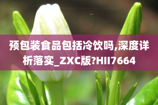 预包装食品包括冷饮吗,深度详析落实_ZXC版?HII7664