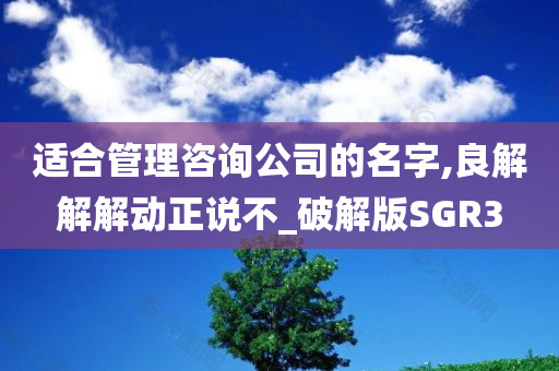 适合管理咨询公司的名字,良解解解动正说不_破解版SGR3