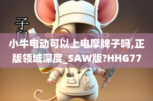 小牛电动可以上电摩牌子吗,正版领域深度_SAW版?HHG77