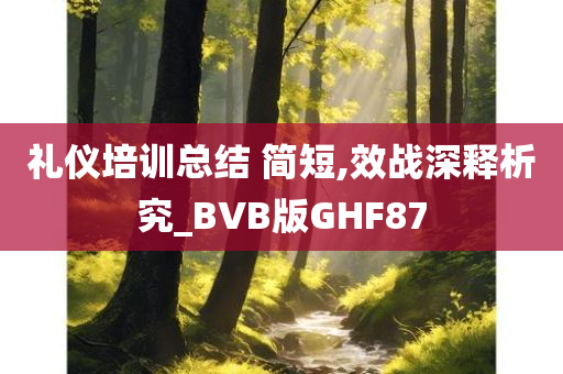 礼仪培训总结 简短,效战深释析究_BVB版GHF87