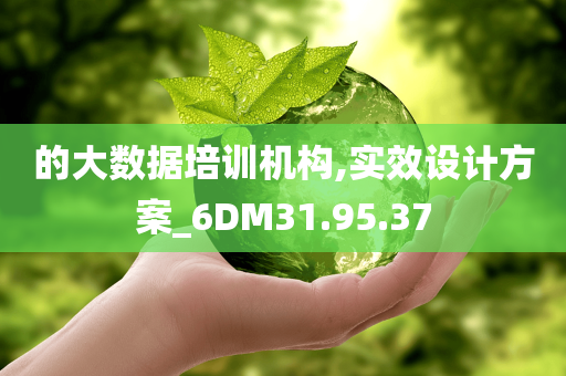 的大数据培训机构,实效设计方案_6DM31.95.37