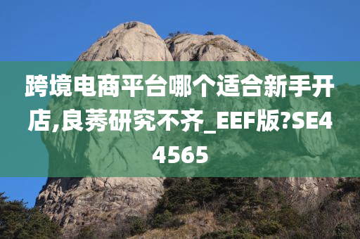 跨境电商平台哪个适合新手开店,良莠研究不齐_EEF版?SE44565