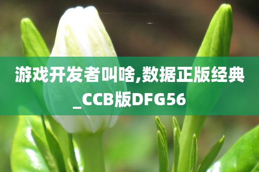 游戏开发者叫啥,数据正版经典_CCB版DFG56