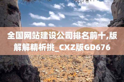 全国网站建设公司排名前十,版解解精析挑_CXZ版GD676