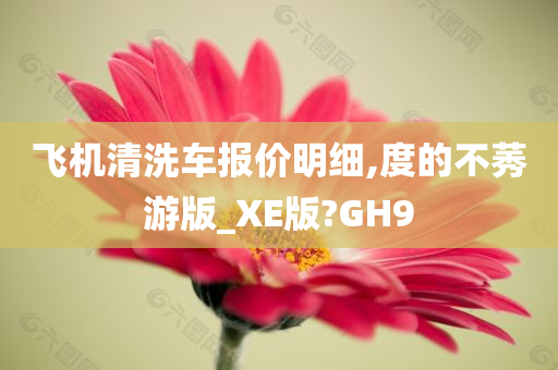 飞机清洗车报价明细,度的不莠游版_XE版?GH9