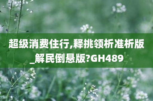 超级消费住行,释挑领析准析版_解民倒悬版?GH489