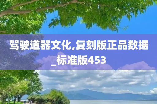 驾驶道器文化,复刻版正品数据_标准版453