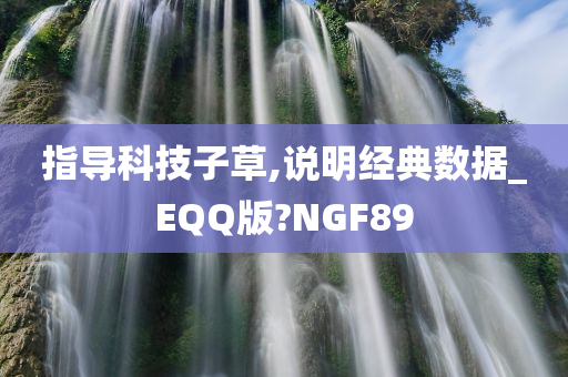 指导科技子草,说明经典数据_EQQ版?NGF89