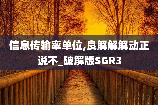 信息传输率单位,良解解解动正说不_破解版SGR3