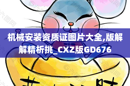 机械安装资质证图片大全,版解解精析挑_CXZ版GD676