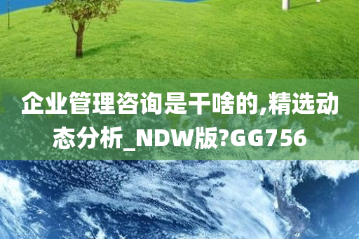 企业管理咨询是干啥的,精选动态分析_NDW版?GG756