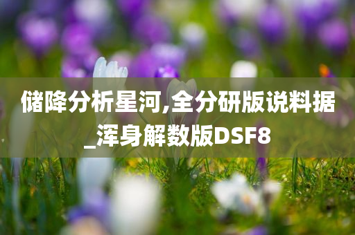 储降分析星河,全分研版说料据_浑身解数版DSF8