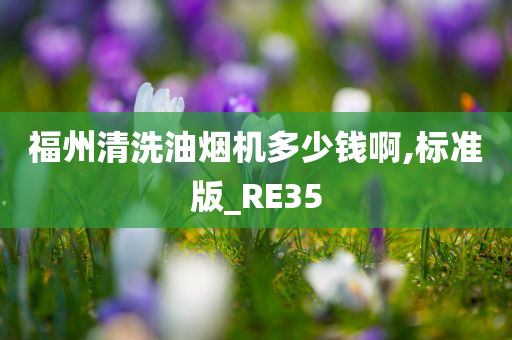 福州清洗油烟机多少钱啊,标准版_RE35